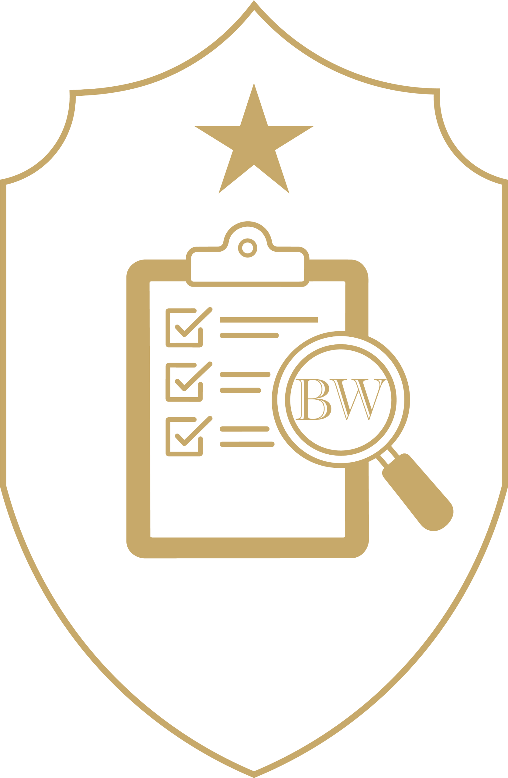 logo BW audit OR